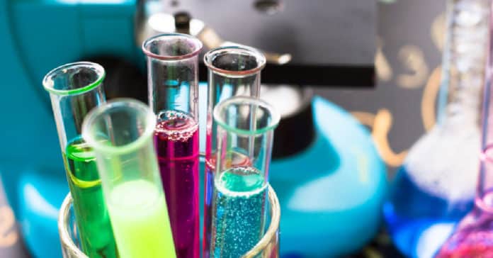 SNU Research Fellow Vacancy 2021 - Applications Details