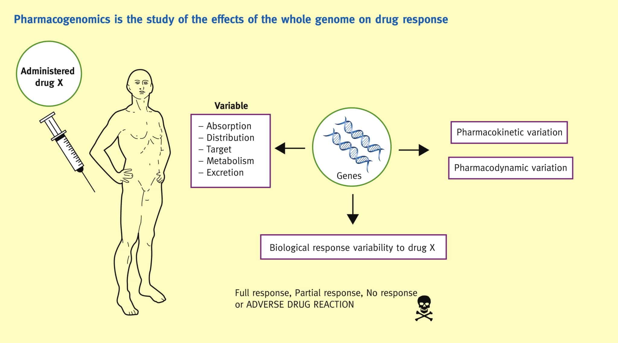 Career in Pharmacogenomics