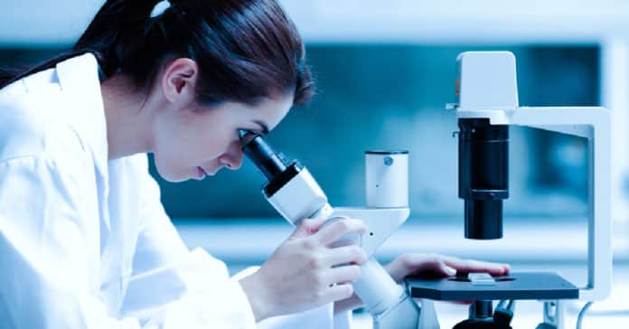 Cipla Ltd Scientist Recruitment - MSc Chemistry Candidates Apply