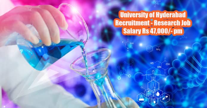 University of Hyderabad Recruitment - Research Job Salary Rs 47,000/- pm