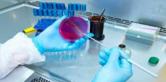 Govt NIAB Pharma Research Fellow Vacancy - Applications Invited