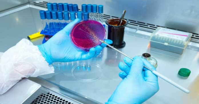 Govt NIAB Pharma Research Fellow Vacancy - Applications Invited