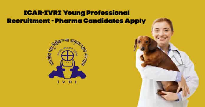 ICAR-IVRI Young Professional Recruitment - Pharma Candidates Apply