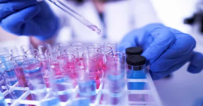 NIT Warangal Vacancies: Chemistry Jr Research Fellow Post