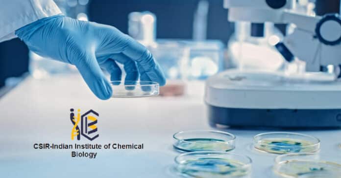 IICB PhD Pharmacy Job Vacancy - Salary Rs 42,000/- pm +HRA