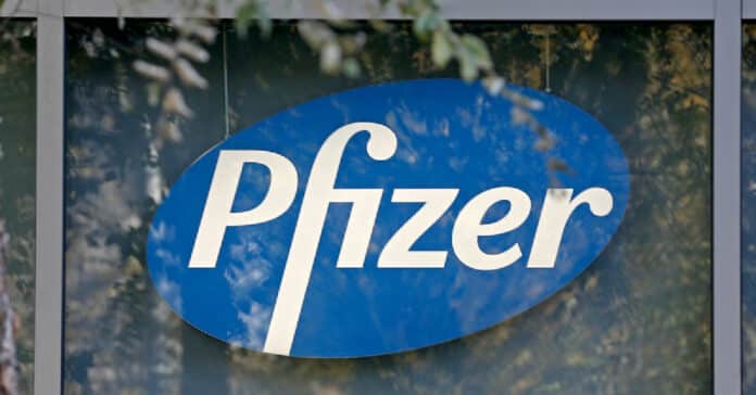 Pfizer Quality Training Specialist Vacancy 2021 - Apply Online
