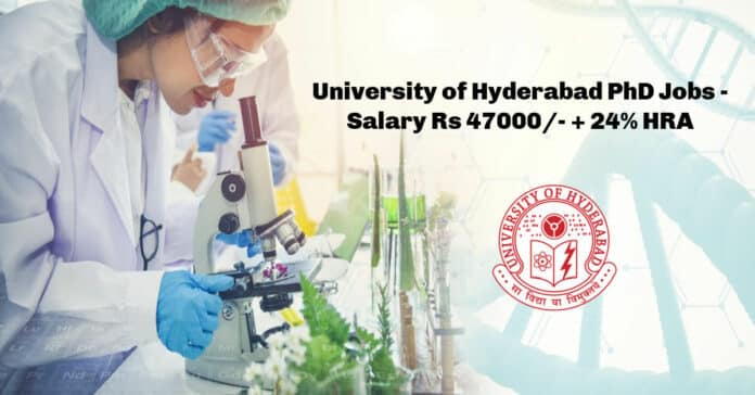 University of Hyderabad PhD Jobs - Salary Rs 47000_- + 24% HRA