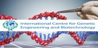 ICGEB Pharma Research Fellow Recruitment - Applications Invited