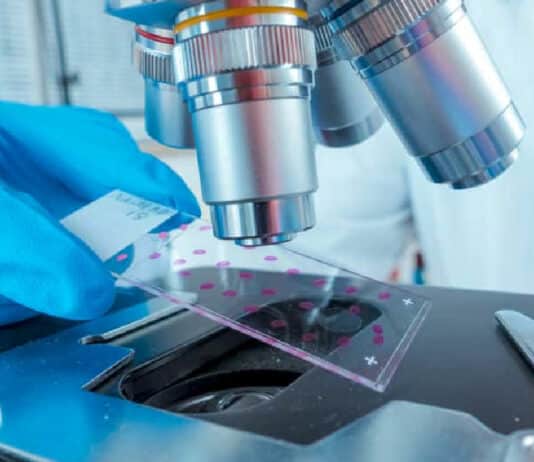 Novozymes Chemical Science Job Opening - Research Associate