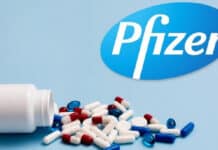 Pfizer Research & Development Job Opening - Pharma Candidates Apply