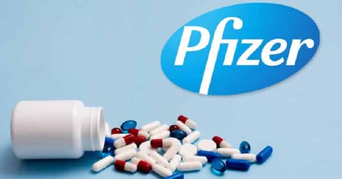 Pfizer Research & Development Job Opening - Pharma Candidates Apply