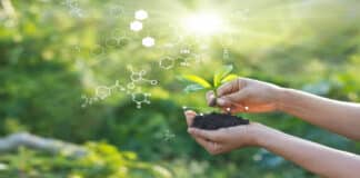 BHU PhD Chemistry Job Opening - Research Associate Post