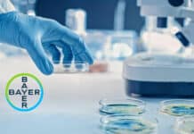 Bayer Pharma Medical Science Liasion Vacancy - Apply Online