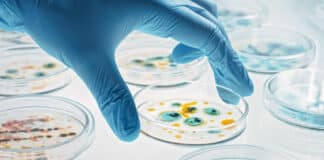 IACS Kolkata High Salary Job - Chemistry Postdoctoral RA