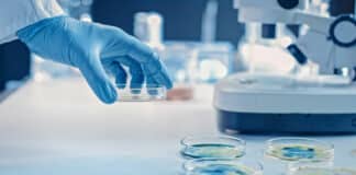 Labcrop Pharma Research Associate Vacancy - Apply Online