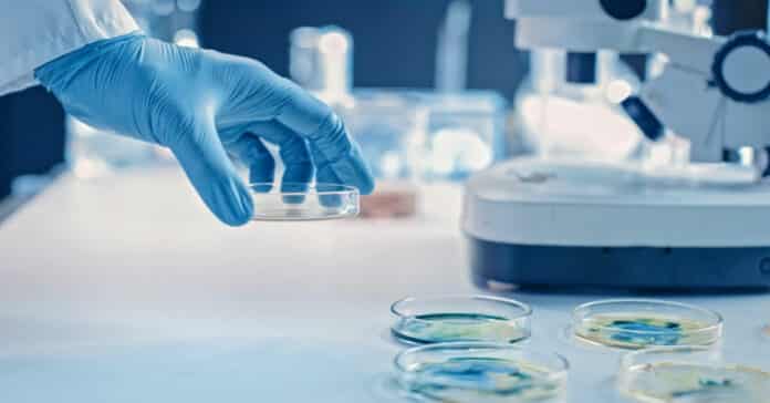 Labcrop Pharma Research Associate Vacancy - Apply Online