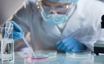 PPD Pharma Clinical Scientist Vacancy 2021 – Apply Online PPD Pharma Clinical Scientist Vacancy 2021 - Apply Online
