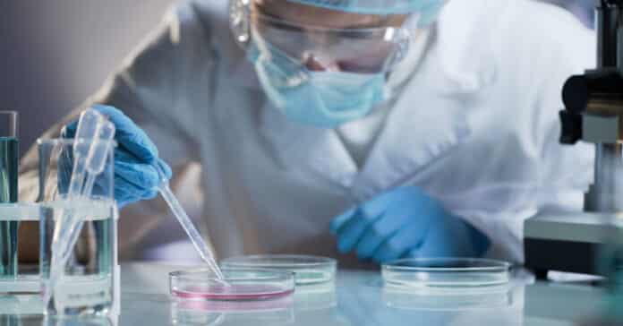 PPD Pharma Clinical Scientist Vacancy 2021 - Apply Online