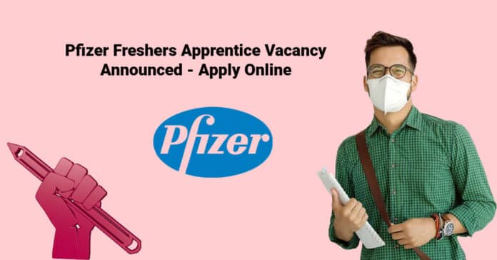 Pfizer Freshers Apprentice Vacancy Announced - Apply Online