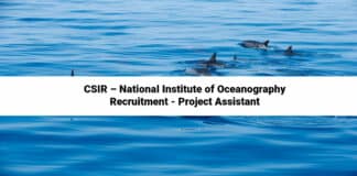 CSIR – National Institute of Oceanography Recruitment - Project Assistant