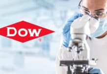 Dow Hiring Lead IP Research Analyst - Chemical Engineering Job