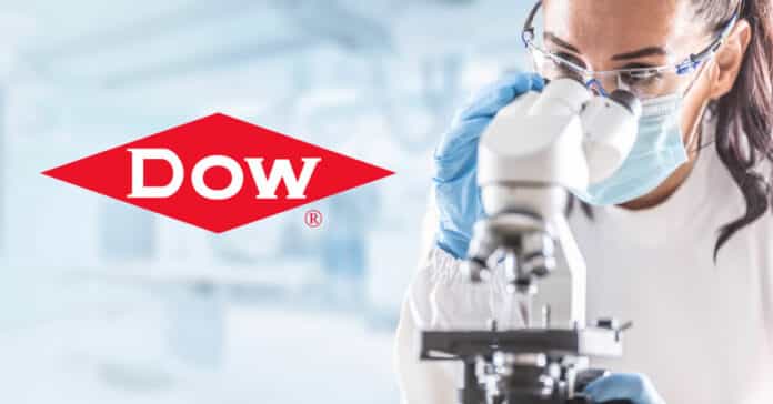 Dow Hiring Lead IP Research Analyst - Chemical Engineering Job
