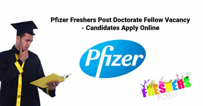 Pfizer Freshers Post Doctorate Fellow Vacancy - Candidates Apply Online