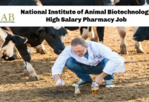 National Institute of Animal Biotechnology High Salary Pharmacy Job