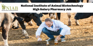 National Institute of Animal Biotechnology High Salary Pharmacy Job
