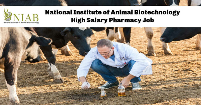 National Institute of Animal Biotechnology High Salary Pharmacy Job