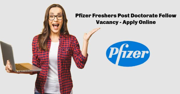 Pfizer Freshers Post Doctorate Fellow Vacancy - Apply Online