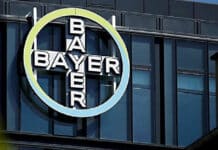 Bayer Pharma Medical Affairs Job Opening 2021 - Apply Online