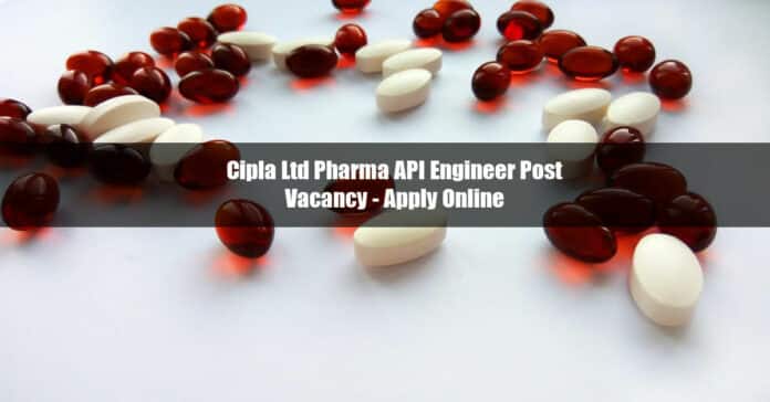 Cipla Ltd Pharma API Engineer Post Vacancy - Apply Online