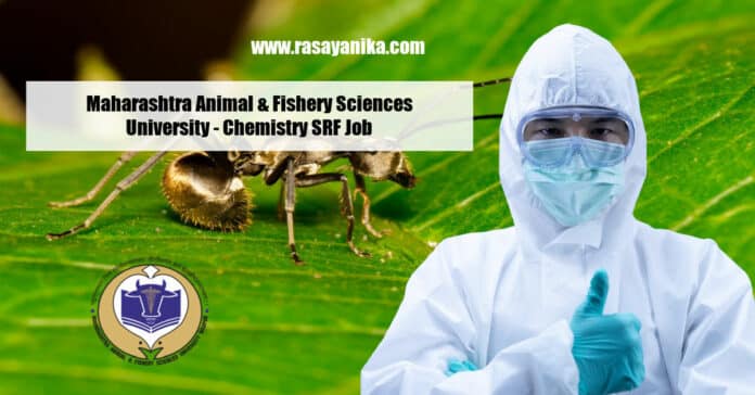 Maharashtra Animal & Fishery Sciences University - Chemistry SRF Job