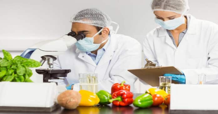 Mondelez Quality Food Safety Specialist Vacancy - Apply Online