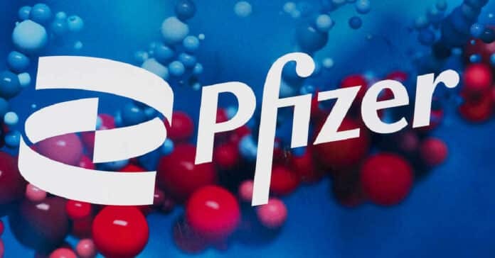 Pfizer Regulatory Affairs Recruitment - Assistant Manager Post