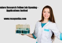 IIT Indore Research Fellow Job Opening - Applications Invited