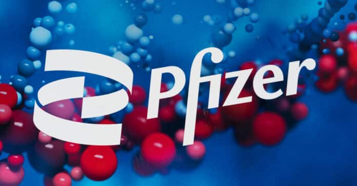 Pfizer Pharma Quality Executive Vacancy 2021 - Review Team