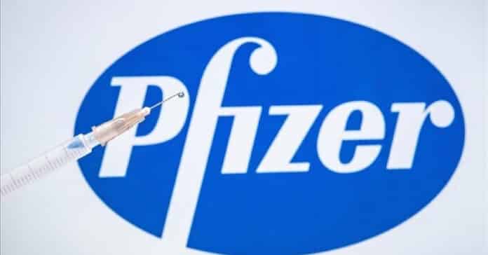 Pfizer Pharma Territory Executive Vacancy - Freshers & Experience Candidates Apply