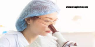 Presidency University JRF Chemistry Job - Applications Invited