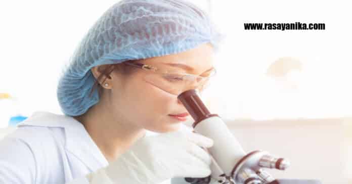 Presidency University JRF Chemistry Job - Applications Invited