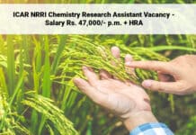 ICAR NRRI Chemistry Research Assistant Vacancy - Salary Rs. 47,000/- p.m. + HRA