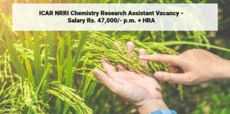 ICAR NRRI Chemistry Research Assistant Vacancy - Salary Rs. 47,000/- p.m. + HRA