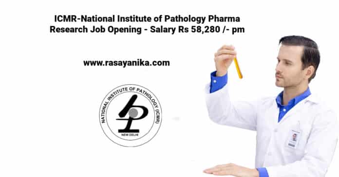 ICMR-National Institute of Pathology Pharma Research Job Opening - Salary Rs 58,280 /- pm