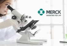 Merck Chemistry Senior Analyst Vacancy 2022 - Apply Online