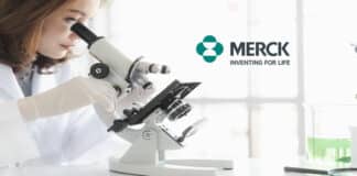 Merck Chemistry Senior Analyst Vacancy 2022 - Apply Online