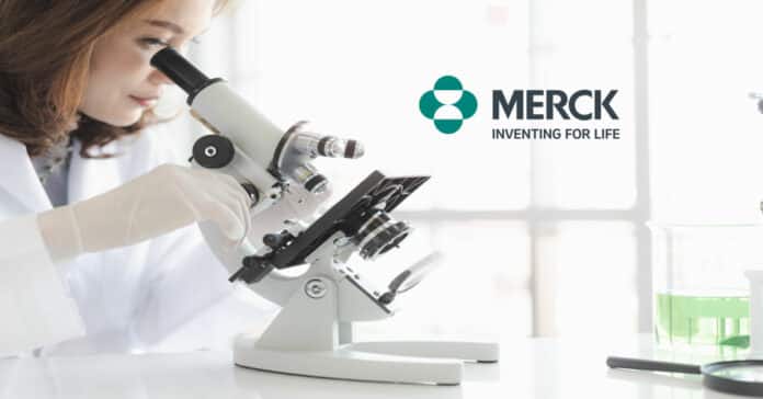 Merck Chemistry Senior Analyst Vacancy 2022 - Apply Online