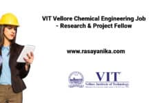 VIT Vellore Chemical Engineering Job - Research & Project Fellow