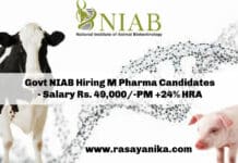 Govt NIAB Hiring M Pharma Candidates - Salary Rs. 49,000/-PM +24% HRA