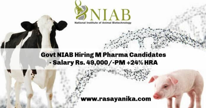 Govt NIAB Hiring M Pharma Candidates - Salary Rs. 49,000/-PM +24% HRA